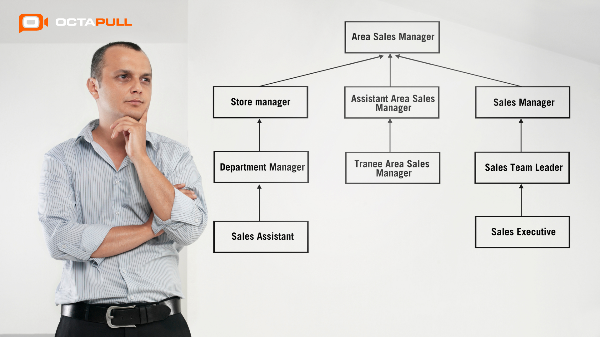 Organizasyon Şeması Nedir?