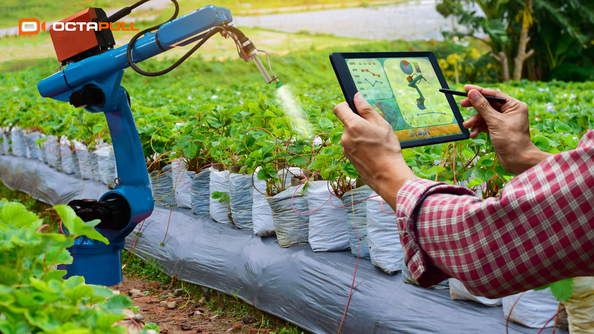 Sürdürülebilir Gıda Üretim Sistemleri Nelerdir blog içi