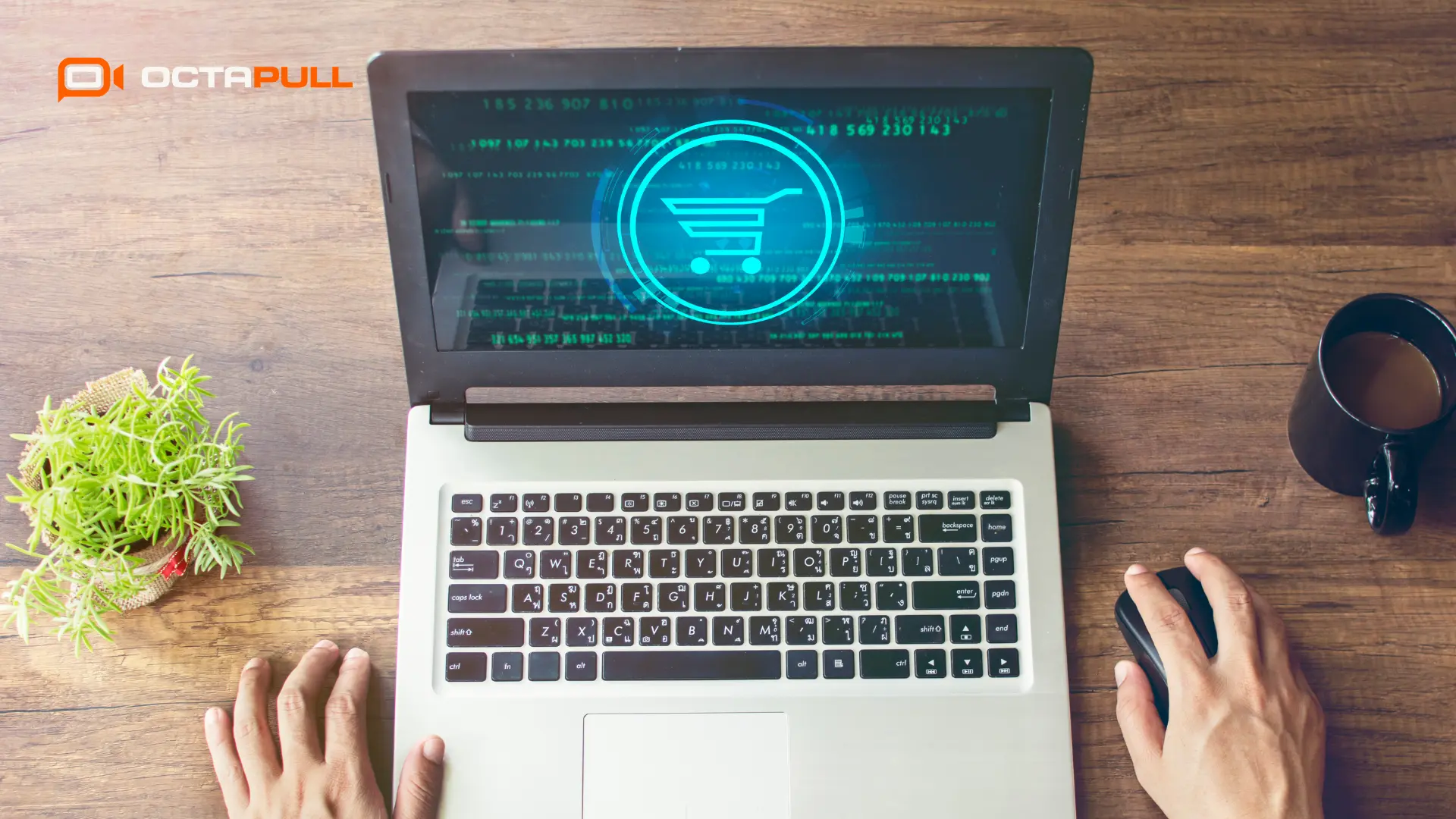 Doğru B2B Sipariş Platformunda Olması Gereken Özellikler